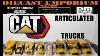 1 50 Scale Diecast Model Articulated Truck Collection