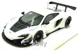 Autoart 1/18 Scale Diecast 81640 McLaren 650S GT3 White/Black Accents